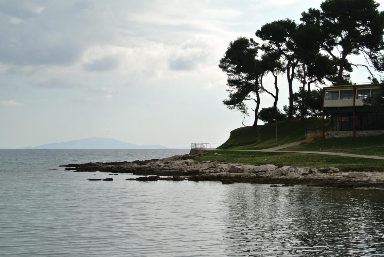 Apartment Ancora *