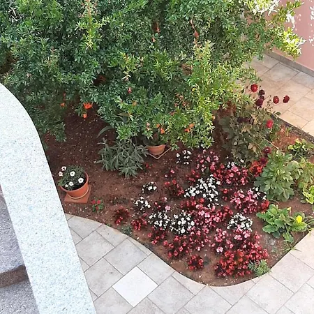 Villa Ancora Medulin Exterior photo