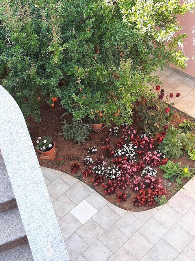 Ancora Apartament *